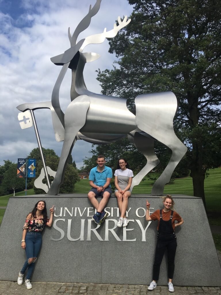University of Surrey International Scholarship For Arts Students