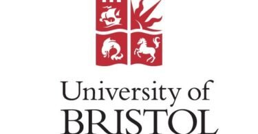 Bristol University Scholarship