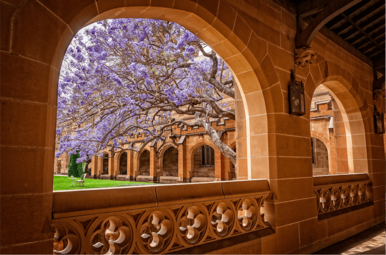 University Of Sydney