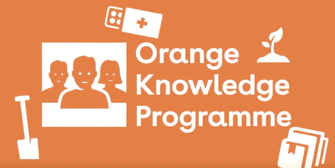Orange Knowledge Programme for International Students, Netherlands 202223