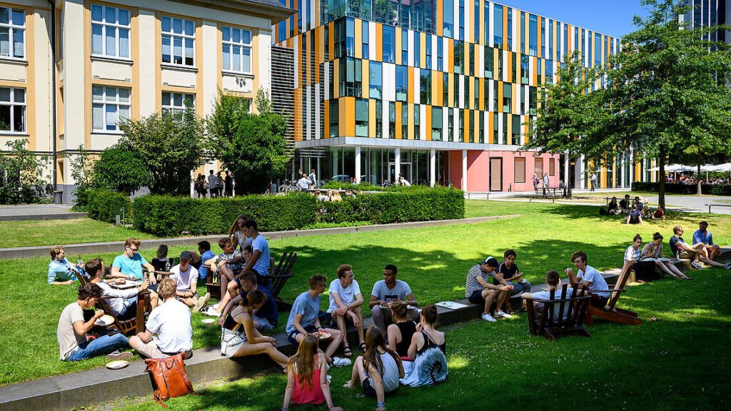 Bucerius Business Excellence Scholarships