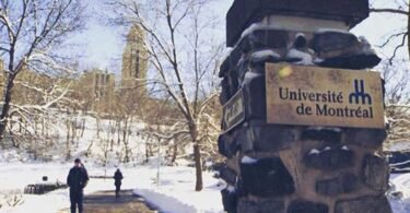 University of Montreal Undergraduate Scholarship